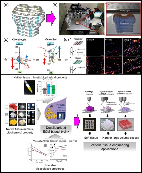 3D 바이오 프린팅 기술 개발 성공