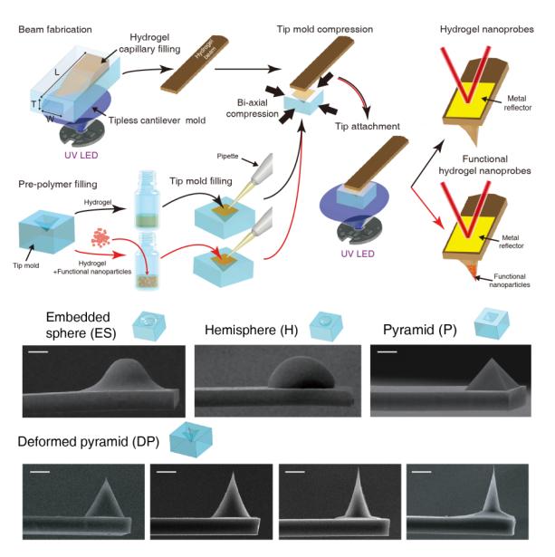 국소 가열, 온도 측정 가능한 다기능 원자현미경 개발