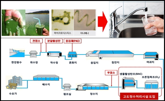탁도 유발물질·조류 제거 효율 개선 제거제 개발