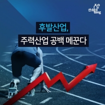 [카드뉴스] 후발산업, 주력산업 공백 메꾼다