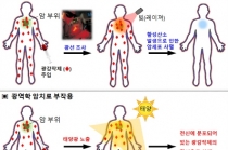 온도감응 광역학 치료제 개발, 작동 원리 규명