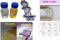 고성능 유연전자회로 및 초고감도 유연 가스센서 개발