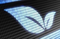 중국, 녹색 소비자 급증하는 중