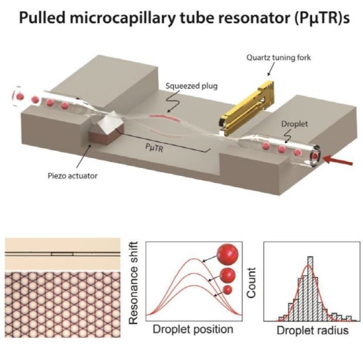 세포 무게까지 계량 가능한 정밀저울 개발