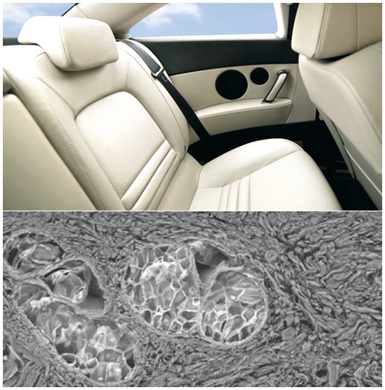 '숨어있는 1kg까지' 자동차 경량화 X-라이트 기술