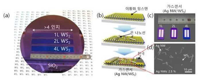 정밀도 12배 높아진 초고성능 가스 센서 개발