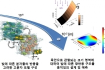 빛에 의해 변형되는 물질의 멀티스케일 해석 기술 개발