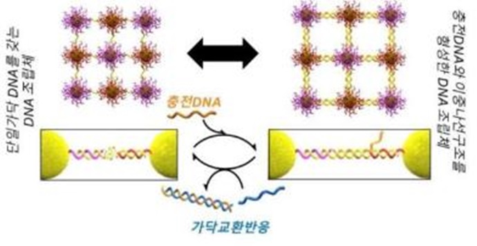 4진수 DNA로 로봇에 정교함 더한다
