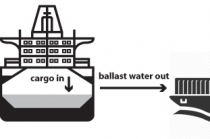 국내 선박평형수 처리기술 세계시장 주도