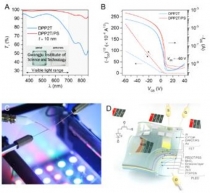 휘어짐 가능한 그물망 반도체 개발