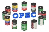 OPEC 회원국 첫 감산 합의 성공