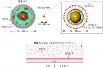 차세대 의료소재 나노인공세포 개발 성공