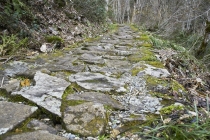 올해 경제계 키워드는 ‘범피로드(bumpy road)’