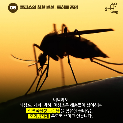 [카드뉴스] 물티슈의 착한 변신, 특허로 증명