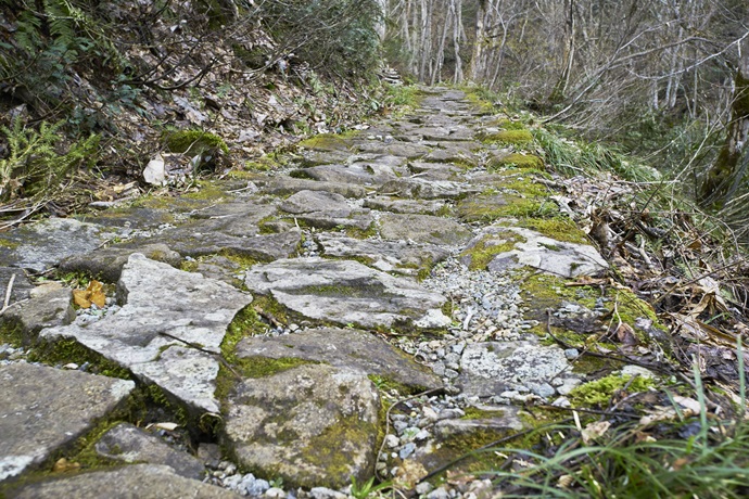 올해 경제계 키워드는 ‘범피로드(bumpy road)’