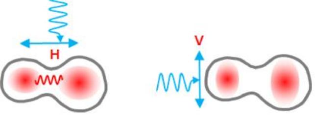 빛으로 양자점 사이 결합 제어하는 기술 개발돼