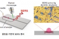 연꽃잎 원리 응용해 오염물질 걸러낸다