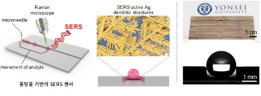 연꽃잎 원리 응용해 오염물질 걸러낸다