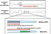 유해 나노물질 잡아내는 선충칩 개발