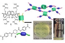 '새로운 접근법' 초강력 나노 초분자젤 최초 개발