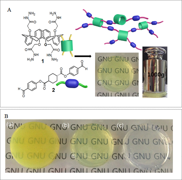 '새로운 접근법' 초강력 나노 초분자젤 최초 개발