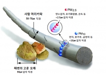 고농도 미세먼지 발생시 차량2부제 등 비상저감조치 시행