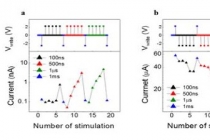 스스로 선택·학습하는 초저전력 인공지능 시냅스 소자 최초 개발
