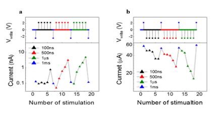 스스로 선택·학습하는 초저전력 인공지능 시냅스 소자 최초 개발