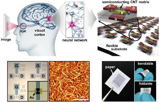 인간처럼 학습하고 판단하는 ‘뇌’를 닮은 전자회로 개발