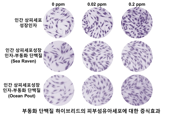 넥스젠바이오텍, 부동화 단백질 하이브리드 개발 성공해