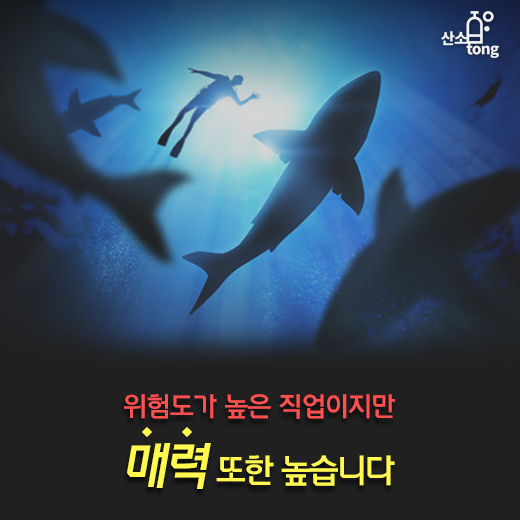 [카드뉴스] 바다 속 맥가이버, 산업잠수사