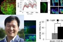 빛으로 세포 제어하는 광유전학기술 개발