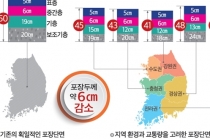 미국 스타일 버린 한국형 도로포장 설계법, 도로 문제 해결 될까