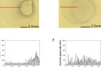 자동차 도장·바이오센서 등 적용 가능한 정밀 코팅기술