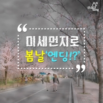 [카드뉴스] 미세먼지로 봄날‘엔딩!?’