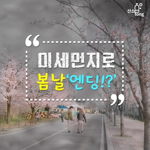 [카드뉴스] 미세먼지로 봄날‘엔딩!?’