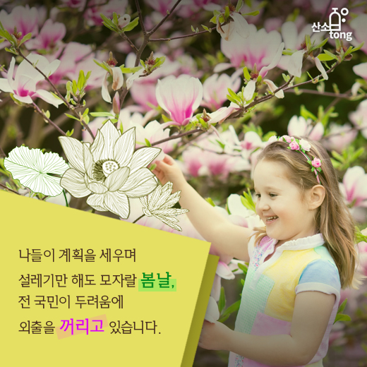 [카드뉴스] 미세먼지로 봄날‘엔딩!?’