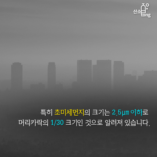 [카드뉴스] 미세먼지로 봄날‘엔딩!?’