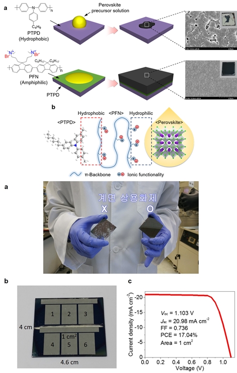 페로브스카이트 태양전지 면적 10배 커졌지만 효율 ‘그대로’