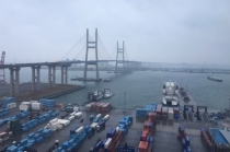 평택항, ‘동남아 직진’ 컨테이너 항로 개설