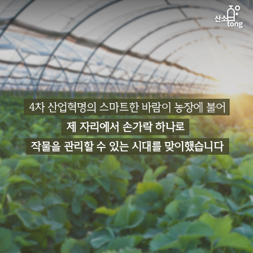 [카드뉴스] 손가락으로 가꾸는 농장, 스마트팜