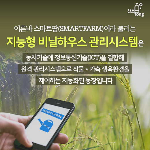 [카드뉴스] 손가락으로 가꾸는 농장, 스마트팜