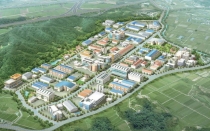 영광 대마산업단지 분양율 51.3%