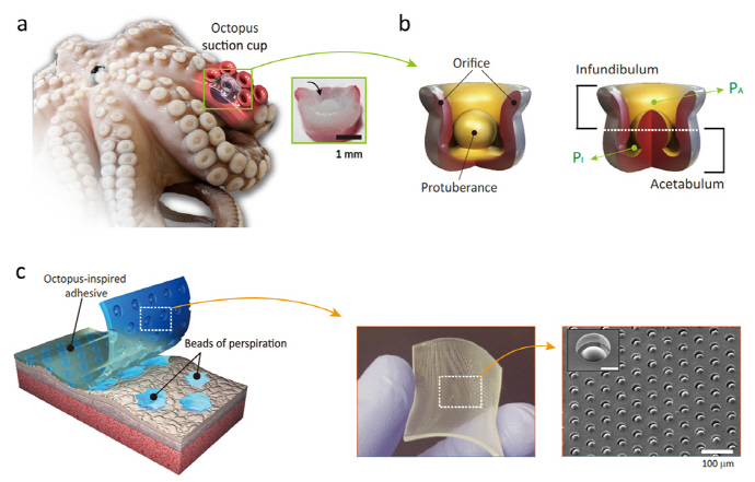자연모사기술, 의료·로봇 산업에서도 주목
