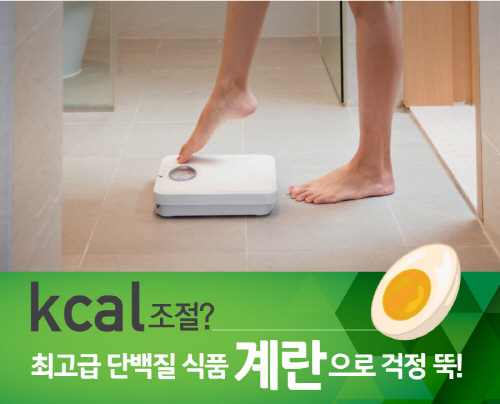 단백질 식품 계란, 아침에 먹으면 칼로리 조절에 좋아
