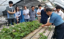 스마트팜 정보시스템 8월말 개방