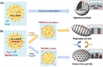 정상체온에 맞춰 모양이 변하는 스마트 입자 개발