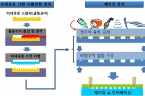 플라스틱 미세유로 소자 제작, 기술 개발 및 상용화 추진