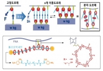 전기차 등에 사용되는 이차전지, 분자도르래로 수명 늘린다