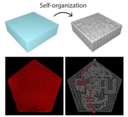 복제 불가능한 미로 패턴으로 보안 기술 끌어올린다